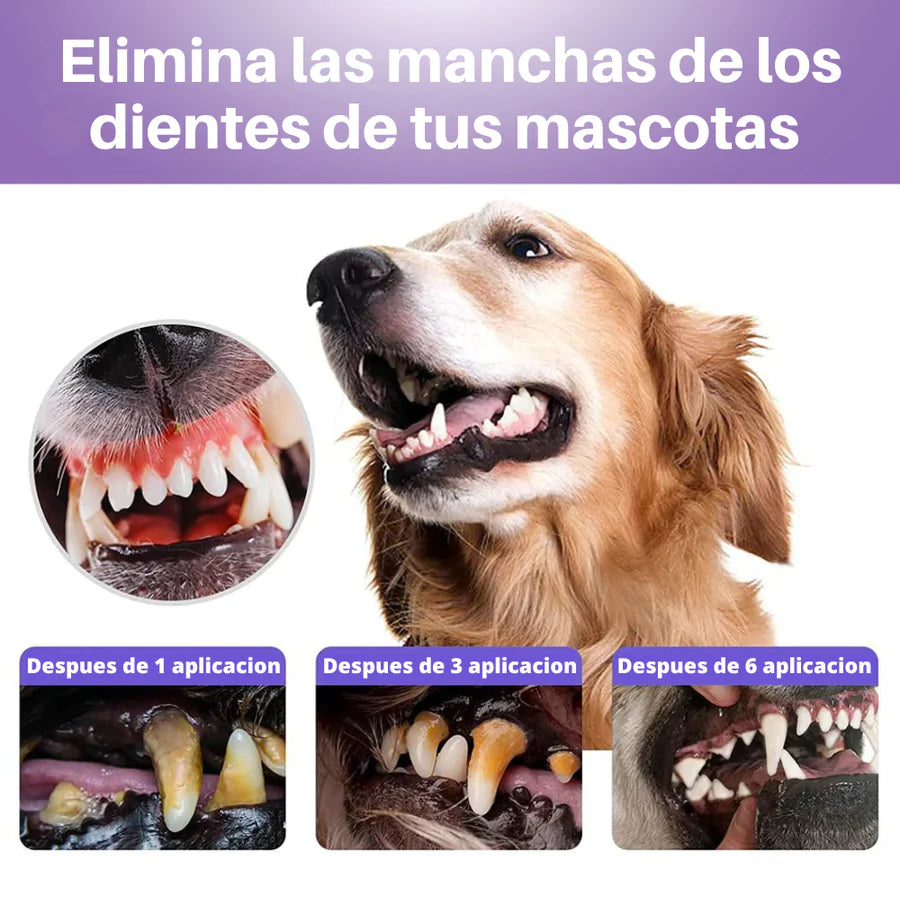 Spray de limpieza dental para animales