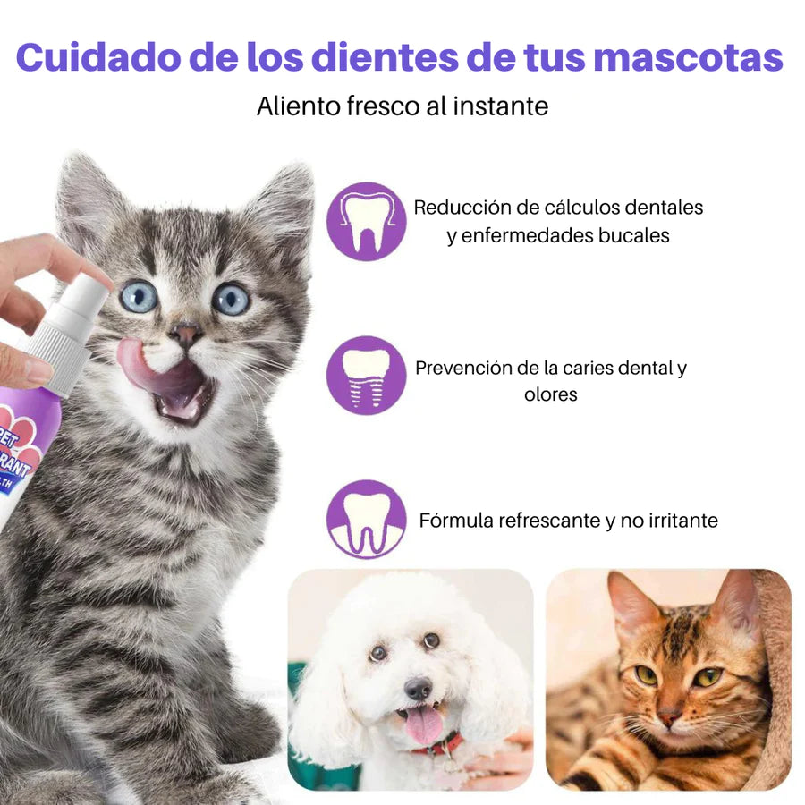 Spray de limpieza dental para animales