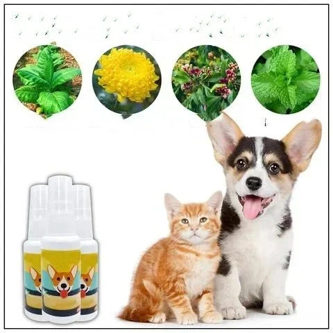 Pet Toilet  | Spray Entrenamiento de Mascotas