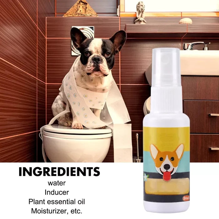 Pet Toilet  | Spray Entrenamiento de Mascotas